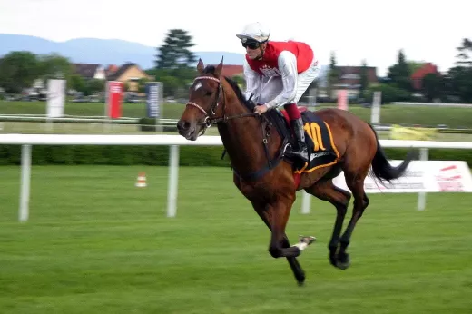 Horse Racing-The different classes and groups